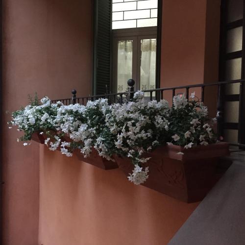 a flower box on the side of a building with flowers at Casa di Emanuela in Spello