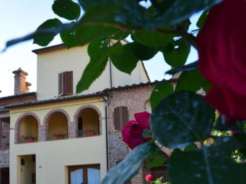 La Piccola loggia- Amando – Photos 2