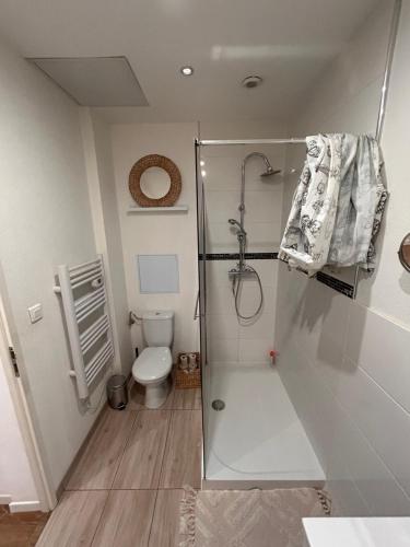 ein Bad mit einer Dusche und einem WC in der Unterkunft # Le 1 # Très beau T3 Neuf rez-de-chaussée centre ville in Mulhouse