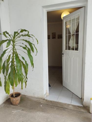 a plant in a pot in front of a door at Cafaro in San Miguel de Tucumán