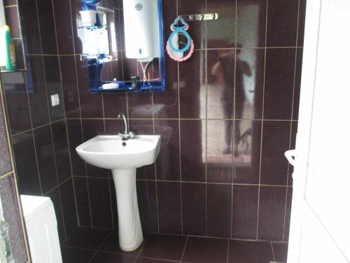 a bathroom with a sink and a dog in a mirror at RUSO'S GuestHouse in Kʼolashi