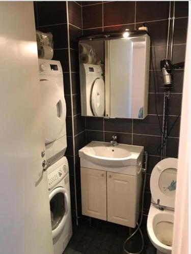 a small bathroom with a sink and a washing machine at Lapland Second Home in Rovaniemi