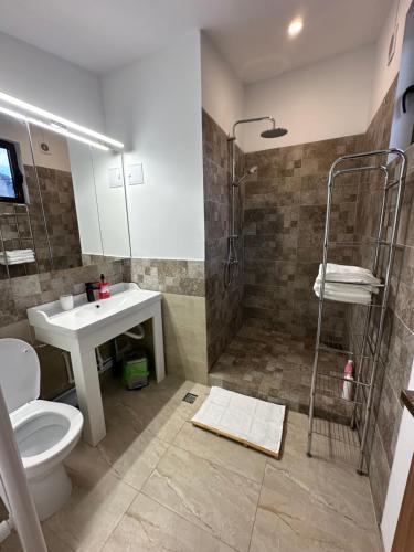 a bathroom with a shower and a toilet and a sink at Conta Apartments in Craiova