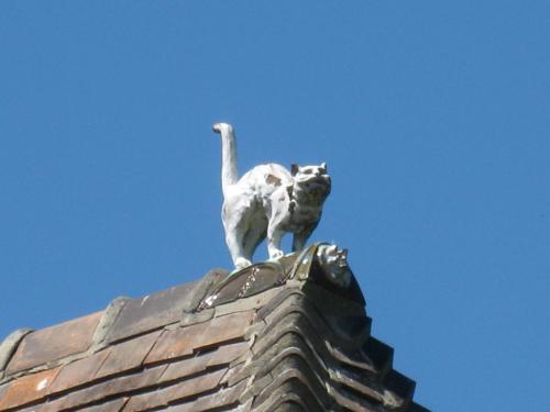 a cat standing on top of a roof at Maison d'hôtes Il était une fois in Pont-lʼÉvêque
