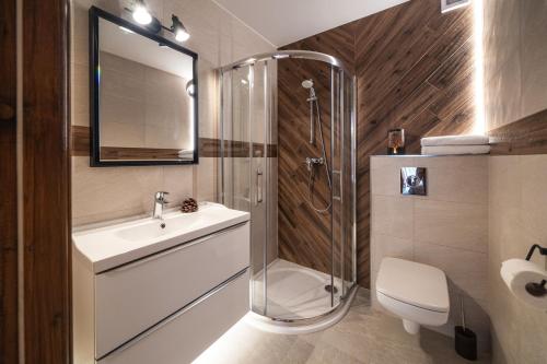 a bathroom with a shower and a sink and a toilet at Pensjonat Litworówka Wellness&SPA in Poronin