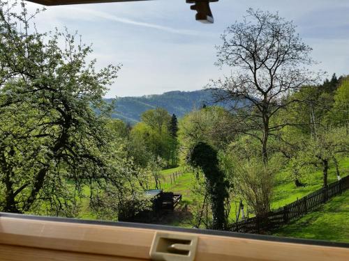 a view from a window of a park with trees at Apartament Buczyna in Brenna