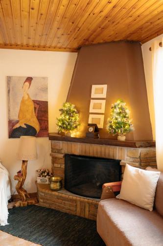 a living room with a couch and a fireplace at Παλαιό Λιθάρι in Ano Trikala