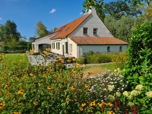 dom z polem kwiatów przed nim w obiekcie Cottage de Vinck w mieście Ypres