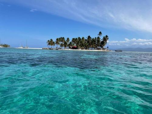 an island with palm trees in the middle of the ocean at Cabañas tradicionales en isla Aroma in Warsobtugua