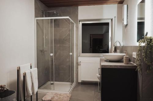 a bathroom with a shower and a sink at Charmantes & offenes Apartment in Ramstein-Miesenbach