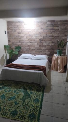 een slaapkamer met een kingsize bed en een tapijt bij Estrela do norte in Serra