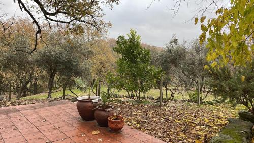 three pots sitting on a brick walkway in a garden at CASA PARVATHI CANDELEDA in Candeleda