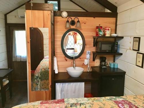 ein Bad mit einem Waschbecken und einem Spiegel im Zimmer in der Unterkunft Tiny Home Cottage Near the Smokies #9 Frieda in Sevierville