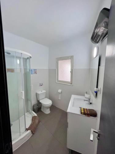 a bathroom with a toilet and a shower and a sink at Loft interior y tranquilo Petrer B in Petrer