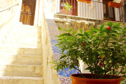 Il Borgo Trapanese – Photos 2