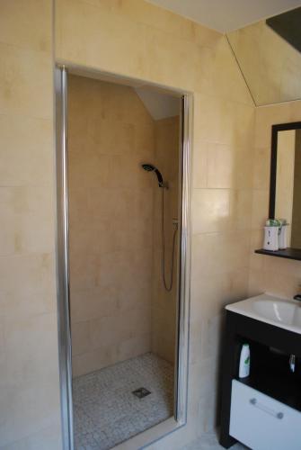 une douche avec une porte vitrée à côté d'un lavabo dans l'établissement la grange, à Wintzenheim