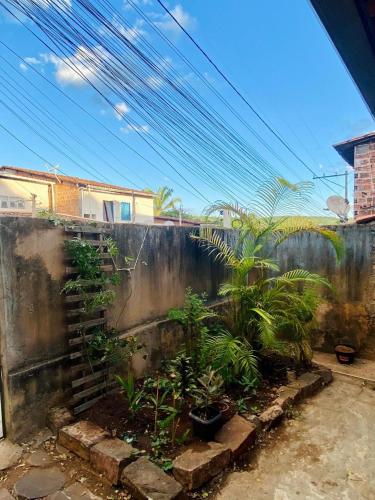 Casa na Mata – Photos 2