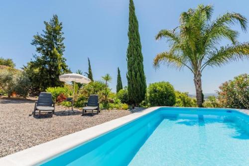 a swimming pool with two chairs and a palm tree at finca mallorquin in Málaga