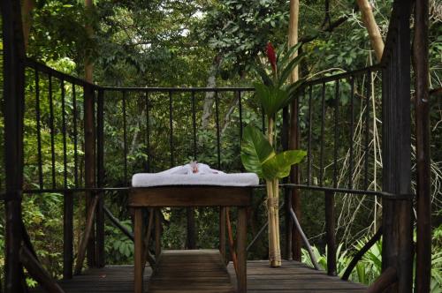 a cat laying on a towel on a wooden bridge at Acuali EcoHostal in Capurganá