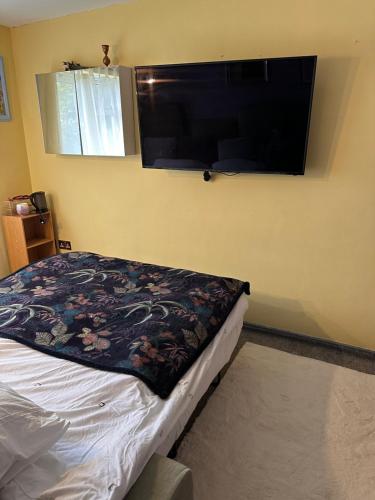 um quarto com uma cama e uma televisão de ecrã plano em Hidden Gem em Great Parndon