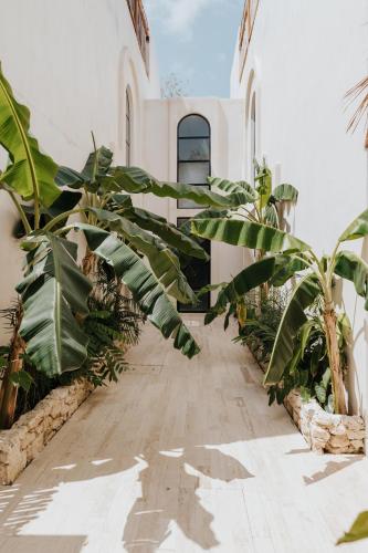 a courtyard of a building with a bunch of plants at Villa Viento 4br 8pp Private Pool Rooftop Security in Tulum