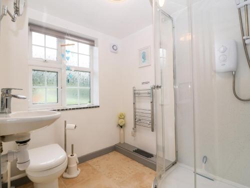 a bathroom with a shower and a toilet and a sink at Yr Hen Efail in Welshpool