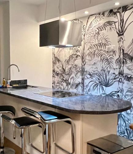 - une cuisine avec un comptoir et un évier dans l'établissement Magnifique Appartement 4 personnes - 2 Chambres - 2 SdB - Grande Terrasse Rue des Têtes - Colmar Centre, à Colmar