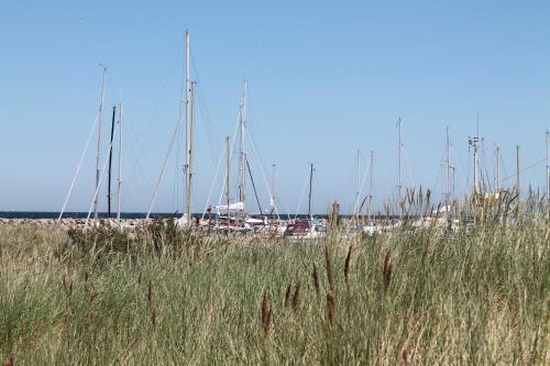 a group of sailboats are docked in a harbor at Familien Ferienhof Lucky bei Kühlungsborn OFC 08 in Diedrichshagen