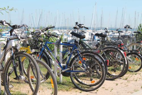 a group of bikes parked next to a marina at Familien Ferienhof Lucky bei Kühlungsborn OFC 08 in Diedrichshagen