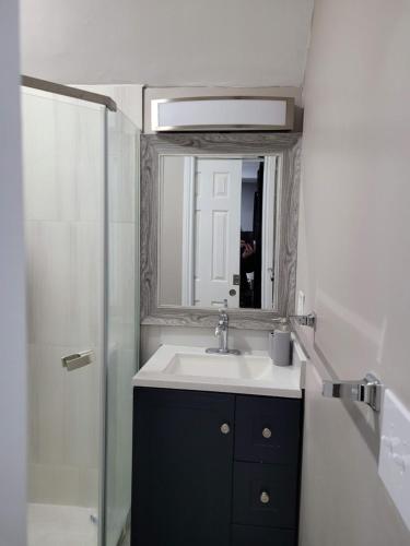 a bathroom with a sink and a mirror and a shower at Big new house with huge parking in West Seneca