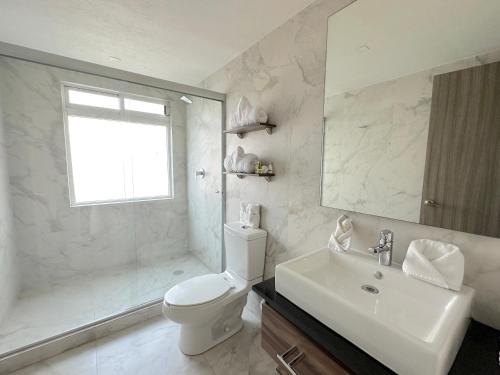 a bathroom with a toilet and a sink and a mirror at Suites Rio Elba in Mexico City