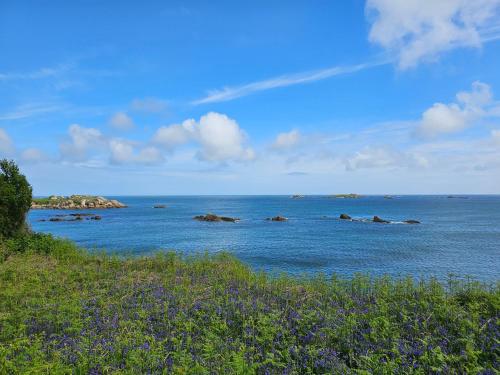 - une vue sur l'océan avec des rochers dans l'eau dans l'établissement Ker Douara - Île Callot, à Carantec