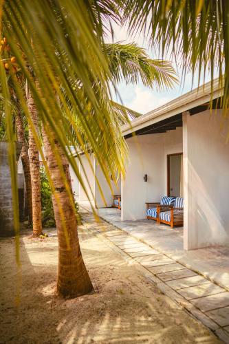 a palm tree in front of a house with couches at Madi Giri Guest House in Maalhos