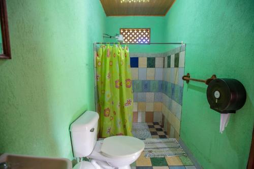 a green bathroom with a toilet and a shower at Tío Felix Eco Lodge in Fortuna