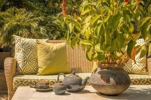 a table with a potted plant in a vase at Ishq Colombo in Colombo