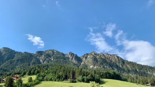a green field with mountains in the background at Ferienwohnung Neubau in Alpbach