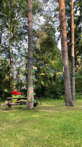 a string of flags hanging between two trees in a park at Chata Dáša High Tatras in Mlynčeky