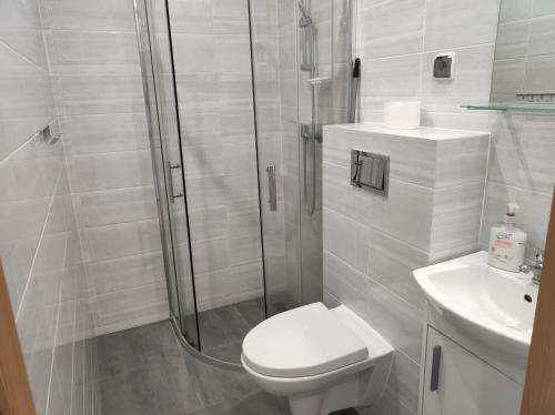 a bathroom with a shower and a toilet and a sink at Górski Kryształ in Stronie Śląskie
