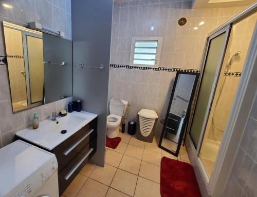La salle de bains est pourvue d'un lavabo, de toilettes et d'une douche. dans l'établissement T2 au rez de chaussée, parking privé et wifi haut débit, à Le Tampon