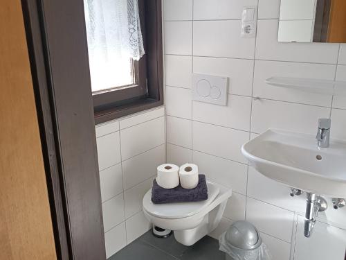 a white bathroom with a toilet and a sink at Detached, tidy bungalow on Katzenbuckel mountain in Waldbrunn