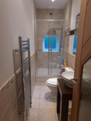 a bathroom with a shower and a toilet and a sink at Garden Room in Bromsgrove