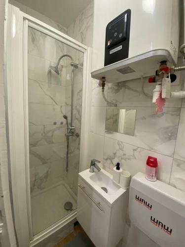 une salle de bain avec une douche, des toilettes et un lavabo dans l'établissement Petit Cosy Aux Portes de Paris, En Face Du M 13, à Asnières-sur-Seine