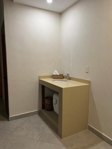 a bathroom with a sink and a toilet at Suites Valentina in Puerto Morelos