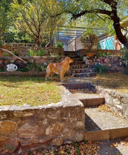 Pinos del puente – Photos 3