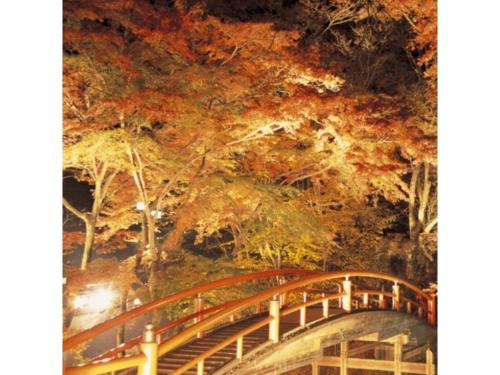a painting of a bridge in a forest at Hotel Kimura - Vacation STAY 97364v in Shibukawa