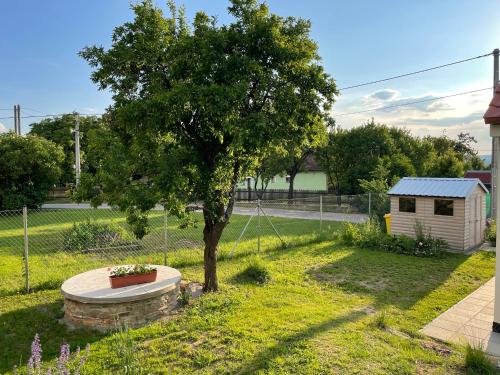 a tree in the middle of a yard at Domek v Podyjí in Lukov