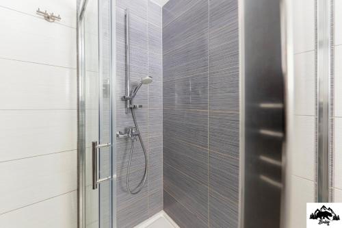 eine Dusche mit Glastür im Bad in der Unterkunft Brlog in Zgornje Gorje