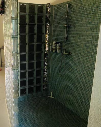 a bathroom with a shower with green tiled walls at La Villa Tila in Ouoran