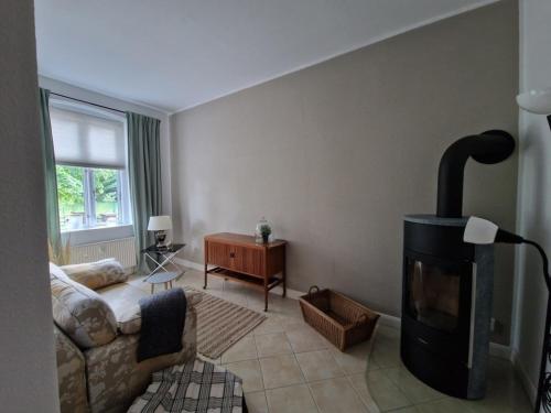 a living room with a fireplace and a couch at Ferienwohnung "Gartenblick" in Marlow
