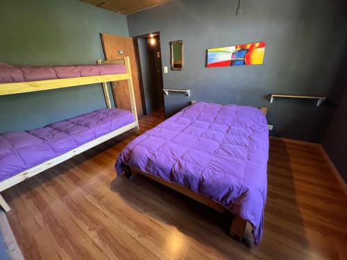 HOSTEL PEHUENIA في إل بولسون: غرفة نوم مع سريرين بطابقين مع ملاءات أرجوانية